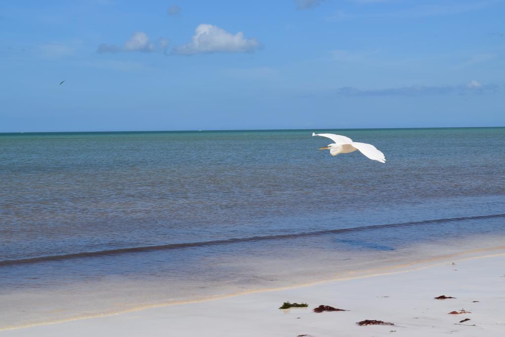 Villas Delfines Isla Holbox Exterior photo