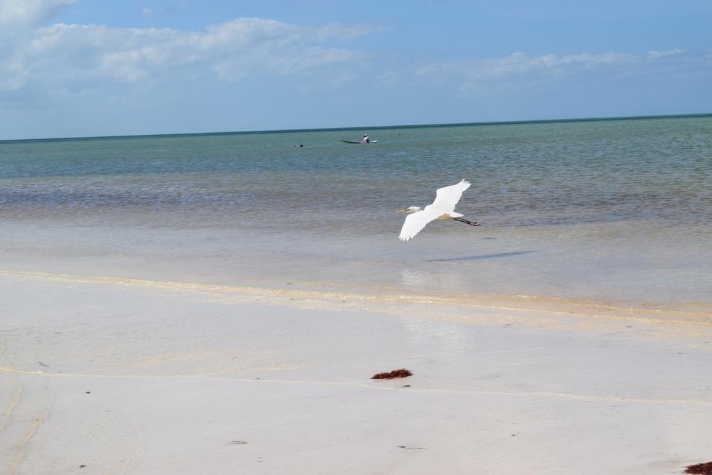 Villas Delfines Isla Holbox Exterior photo